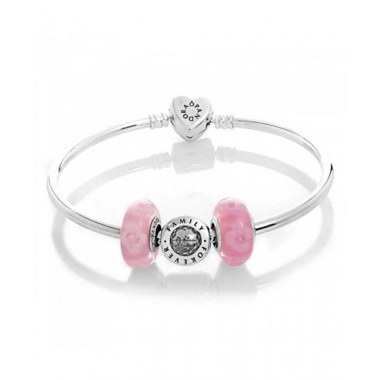Pandora Bracelet-Silver Family Rose Complete Bangle Jewelry